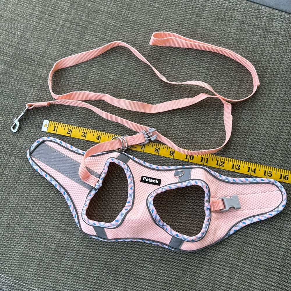 Puppy harness and matching leash